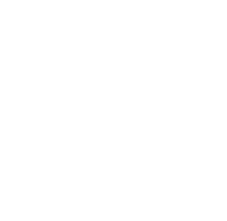 Life Sa Fair Trade Group logo