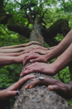 Hands all holding onto a tree